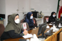 وبینار وزارتی کارشناسان بیماری های غیرواگیر، سالن جلسات مرکز بهداشت استان مرکزی، ۴ دی ماه