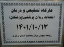 کارگاه تشخیص و درمان اختلالات روان پزشکی(پزشکان)، سالن جلسات مرکز بهداشت استان مرکزی، ۱۳ دی ماه