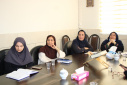 وبینار وزارتی معاونین بهداشتی دانشگاه های علوم پزشکی (اجرای برنامه سلامت خانواده و پویش ملی سلامت"