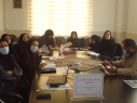 وبینار کشوری کارگروه علمی عملیاتی حاشیه نشینی