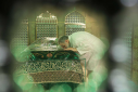 خادم الرضا