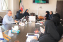 چهارمین کارگروه پیشگیری و کنترل سقط در استان مرکزی برگزار شد؛ بررسی آمار، علل و مراقبت‌های مامایی