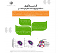 مجموعه پوستر مزایای زایمان طبیعی و مضرات سزارین