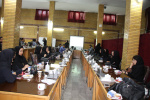 کارگاه آموزشی نحوه تکمیل چک لیست های برنامه مدیریت حوادث و رخداد های شیمیایی برگزارشد.
