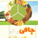چاقی کودکان