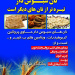 پمفلت نان کامل